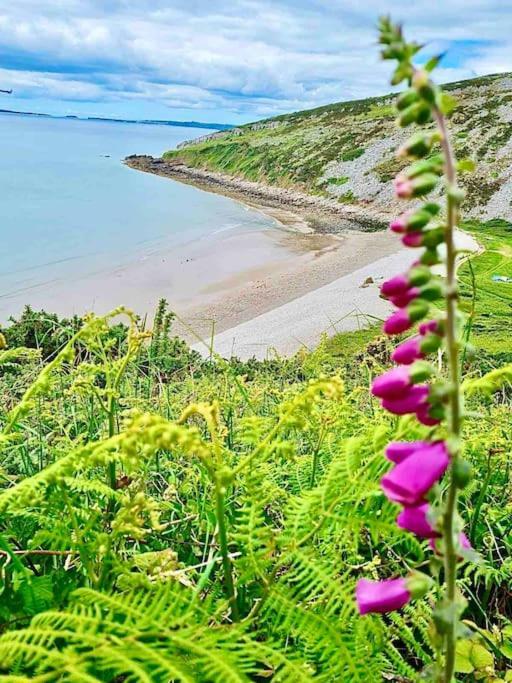 The Mermaids Watch Pendine Dog Friendly With Cymru Holidays Экстерьер фото